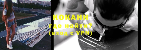 шишки Волоколамск