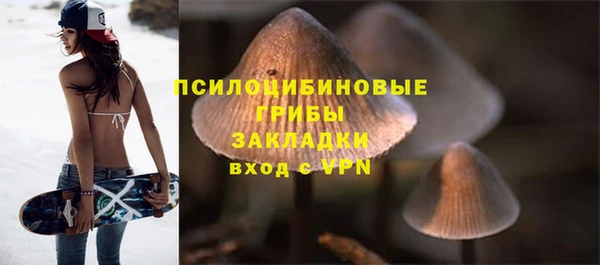 твердый Горняк