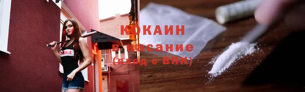 шишки Волоколамск