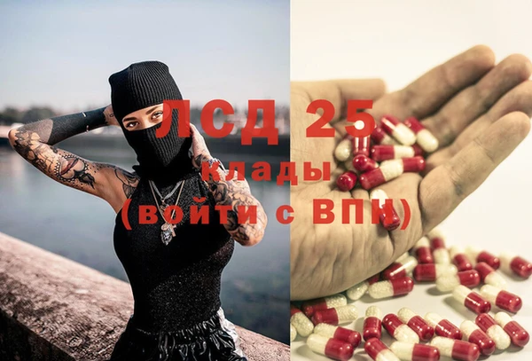шишки Волоколамск