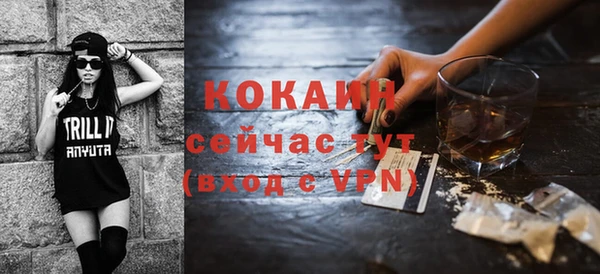 шишки Волоколамск