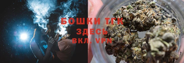 крисы Горнозаводск