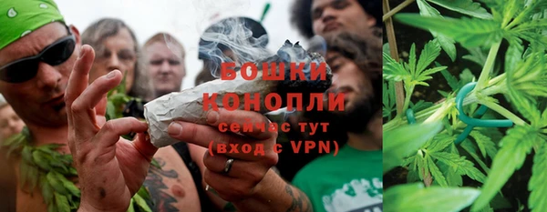 крисы Горнозаводск
