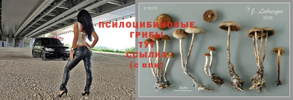 стафф Волосово