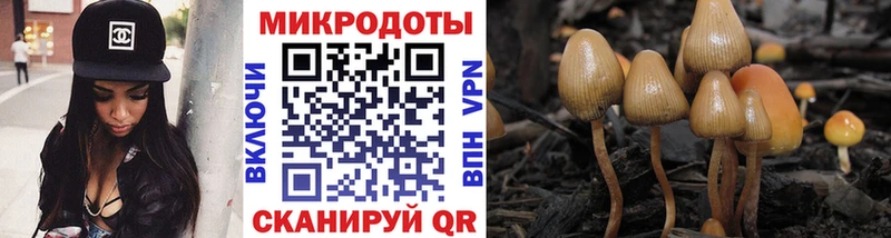 Псилоцибиновые грибы Magic Shrooms  Купить  Павловск 